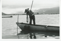 諏訪湖の漁業