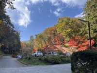別所の紅葉