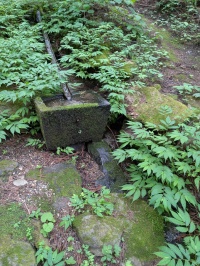 初めての投稿です