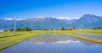安曇野市の田園風景