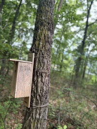 フランチャイズ展開、これが本当の自然派