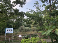 自然公園の瓢箪池