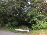 自然公園プール前の山道