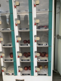リンゴの自動販売機