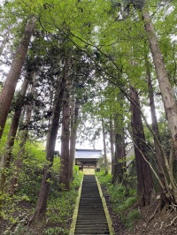 安楽寺が見えるまでの階段