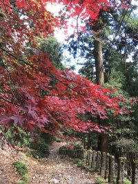 比叡山の山裾の紅葉