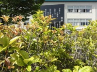 小県蚕業学校(上田東高)の校歌
