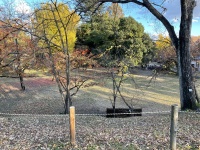 上田城 本丸跡地