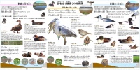 可動式看板「舌喰池で観察される鳥類」