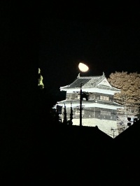 上田の象徴！月明り照らす上田城