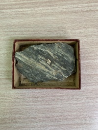 No.25(A－3－1)絹雲母片岩