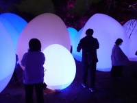 チームラボ金沢城光の祭