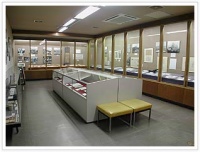 上田市立博物館での収蔵品撮影