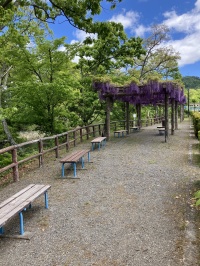 自然公園内のベンチ