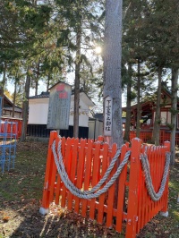 生島足島神社の御柱