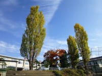 校長室の前のあそこ