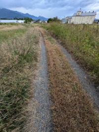 わだちくっきり感NO1