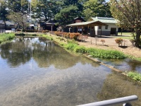 水路の上にあるまち